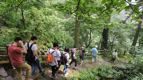 2018.08 西天目山夏游